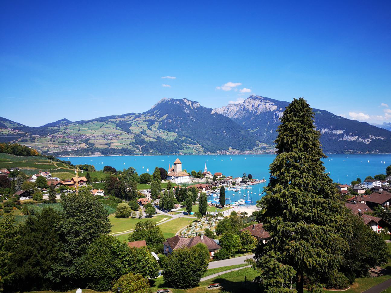 spiez